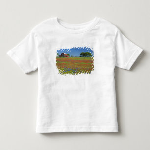 Camiseta Infantil Texas, Texas Hill Country, pincel de Texas