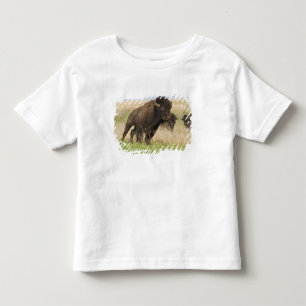 Camiseta Infantil Touro de bisão jovem e feroz no Tallgrass