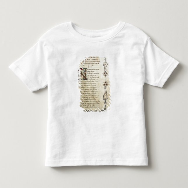 Camiseta Infantil Triumph do amor (Frente)
