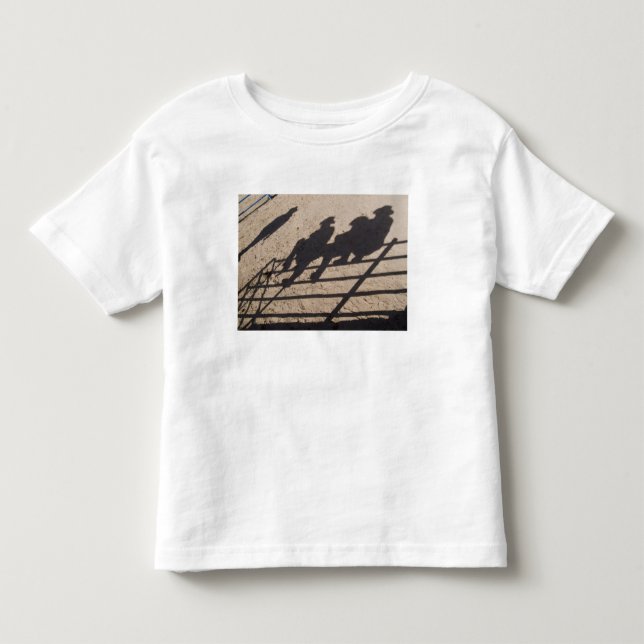 Camiseta Infantil Tucson, Arizona: Sombras de competidores de Rodeio (Frente)