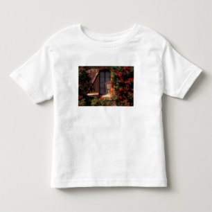 Camiseta Infantil UE, França, Provença, Vaucluse, Casa em Apt