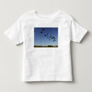 Camiseta Infantil Um C-17 Globemaster III 2 da força aérea de E.U.