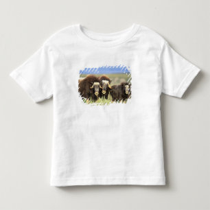 Camiseta Infantil Um grupo de bois-almiscarados se alimentam de arbu