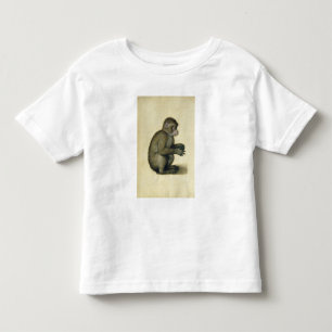 Camiseta Infantil Um macaco