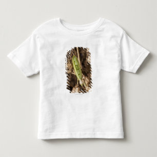 Camiseta Infantil Um vagem de ervilha verde em uma planta secada do
