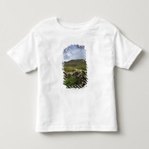 Camiseta Infantil Uma cerca de pedra através dos campos