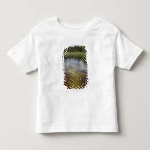 Camiseta Infantil Uma lagoa imóvel que reflete as nuvens