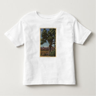 Camiseta Infantil Uma palma de Joshua na flor no deserto