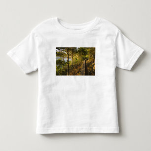 Camiseta Infantil Uma passarela de madeira no Parque Nacional Acadia