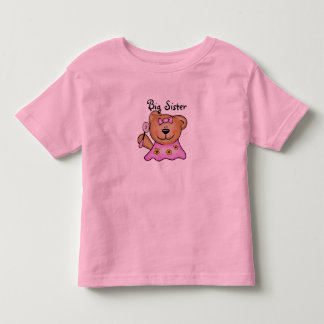 Camiseta Infantil Urso de Teddy, Grande Irmã Bonita, de Rosa