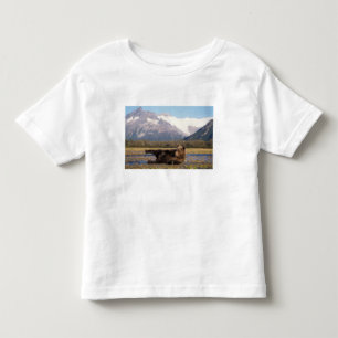 Camiseta Infantil Urso pardo, urso cinzento esticando-se de costas