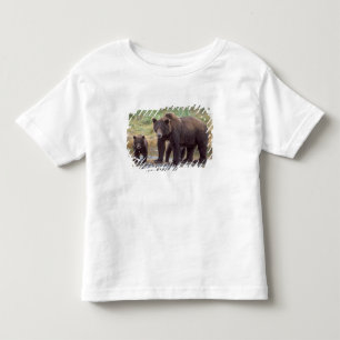 Camiseta Infantil urso pardo, Ursus arctos, urso cinzento, Ursus 3