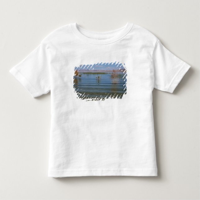 Camiseta Infantil UT, Lago Urso (Frente)