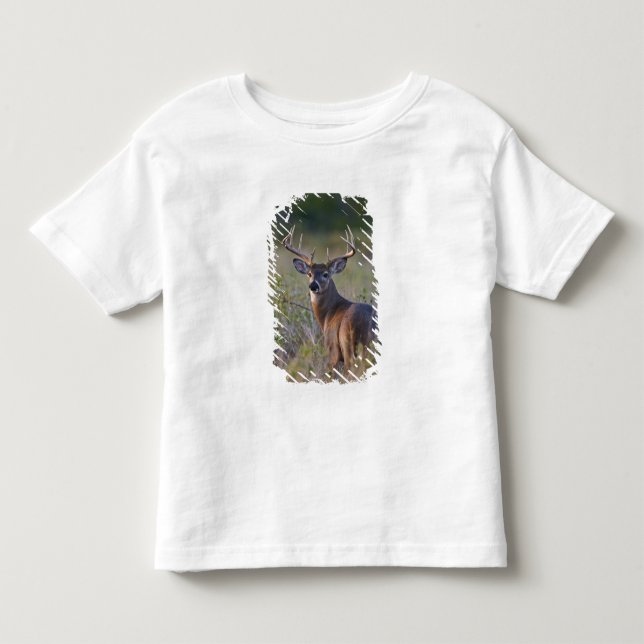 Camiseta Infantil veado-de-cauda-branca Odocoileus virginianus (Frente)