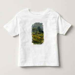 Camiseta Infantil Vinícola, Toscana, Itália