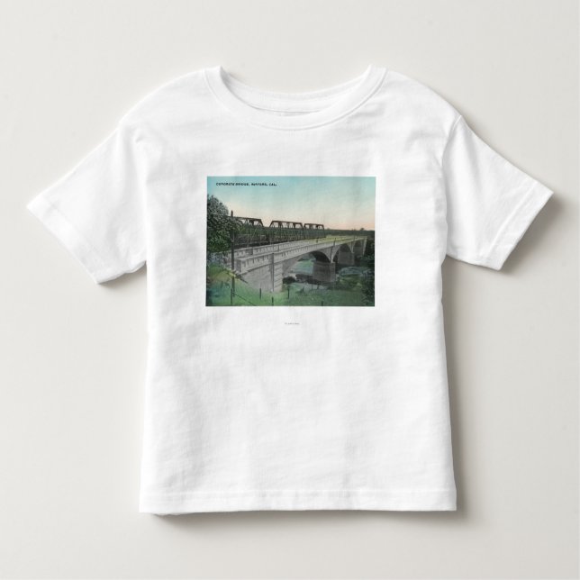 Camiseta Infantil Vista aérea da angra BridgeWinters de Putah, CA (Frente)