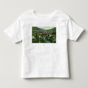 Camiseta Infantil Vista aérea do CityDunsmuir, CA