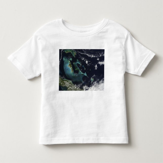 Camiseta Infantil Vista de satélite das Ilhas Bahama (Frente)