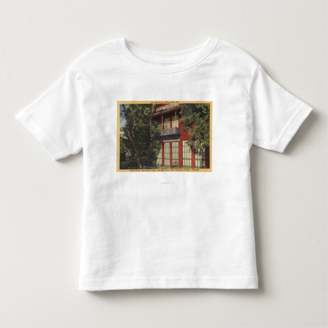 Camiseta Infantil Vista do escritório velho de Wells Fargo (1855) (Frente)