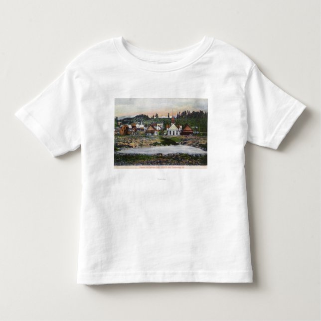 Camiseta Infantil Vista dos primaveras e da cidade (Frente)