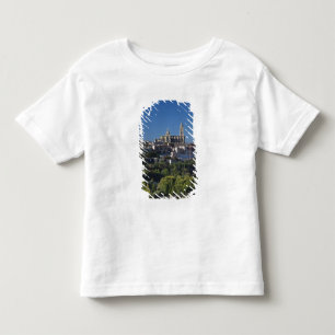 Camiseta Infantil Vista elevada da cidade com a Catedral de Segóvia