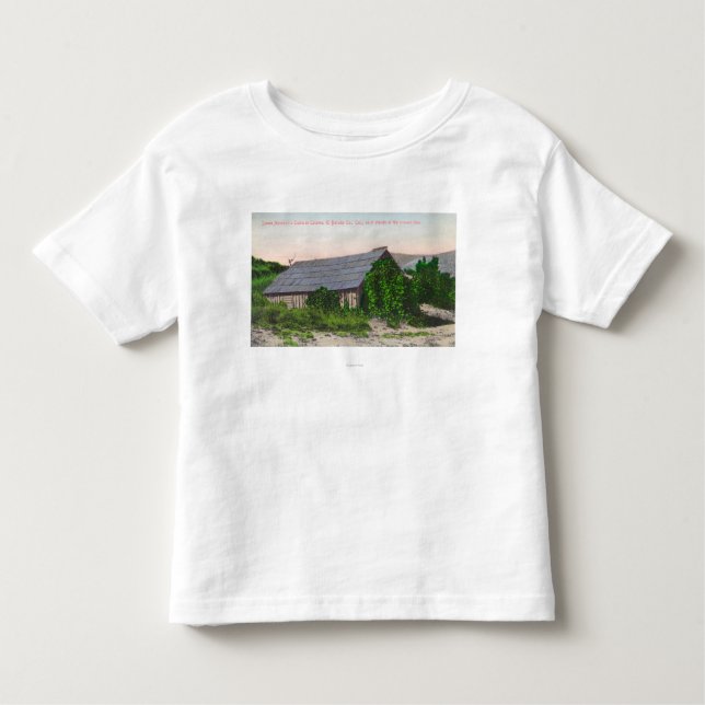 Camiseta Infantil Vista exterior da cabine de James Marshall (Frente)