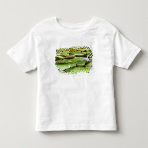 Camiseta Infantil Vitoria Regis, vitórias-régias na Amazônia