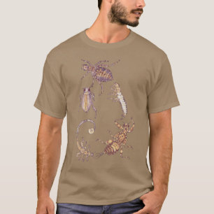 Camiseta Inseto De Água Fresca Fibonacci