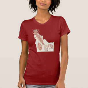 Camiseta Insetos Aquáticos De Idaho 