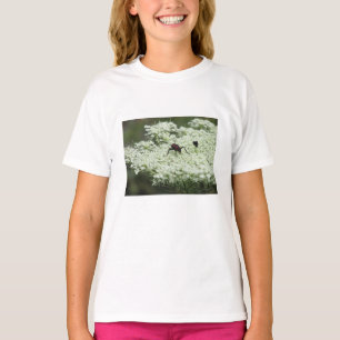 Camiseta Insetos em Elderflower