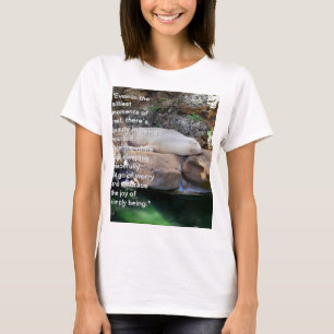 Camiseta Inspiração: Leão Branco Dormindo Em Rochas,