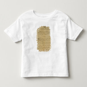 Camiseta Instruções aos soldados emitidos por Napoleon