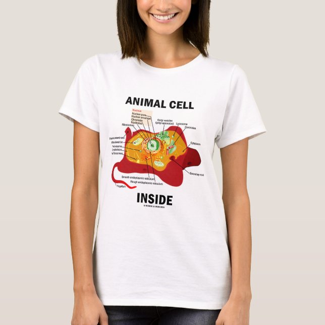 Camiseta Interior animal da pilha (biologia celular do (Frente)