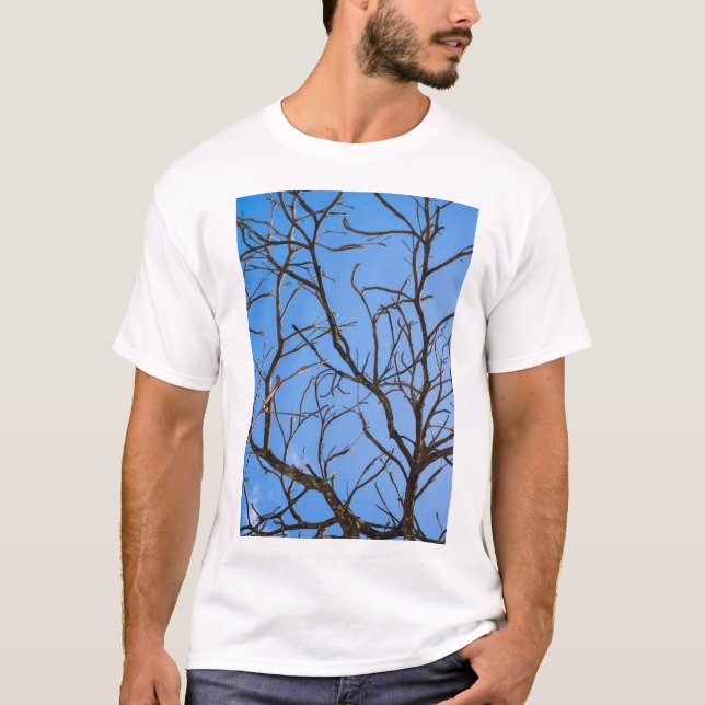 Camiseta Intricate Bare Branches Silhouette Against Vivid B (Frente)