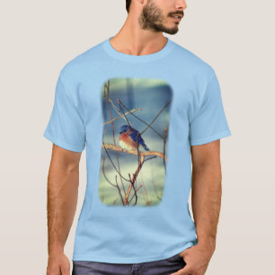 Camiseta Inverno Bluebird Natureza Animal