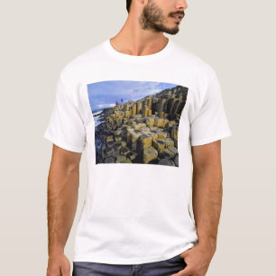 Camiseta Irlanda do Norte, Condado de Antrim, Gigante