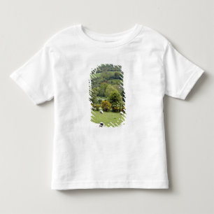 Camiseta Irlanda Ocidental, Península de Dingle, ampla