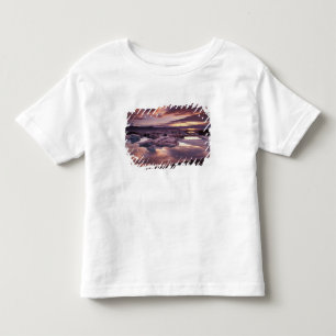 Camiseta Islândia, Lagoa Jokulsarlon, Paisagem