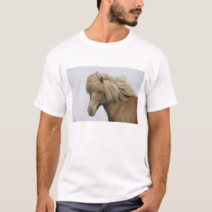 Camiseta Islândia. Retrato de um cavalo islandês.