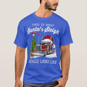 Camiseta Isto É O Que Meu Santas Sleigh Parece