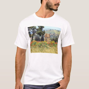 Camiseta Itália, Sicília, Agrigento. As ruínas do