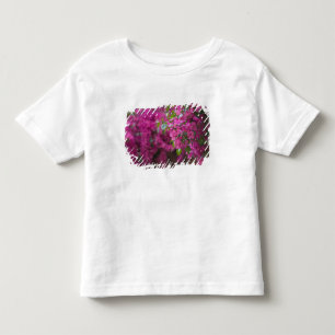 Camiseta Itália, Sicília, Cefalù, Pátio Florido por