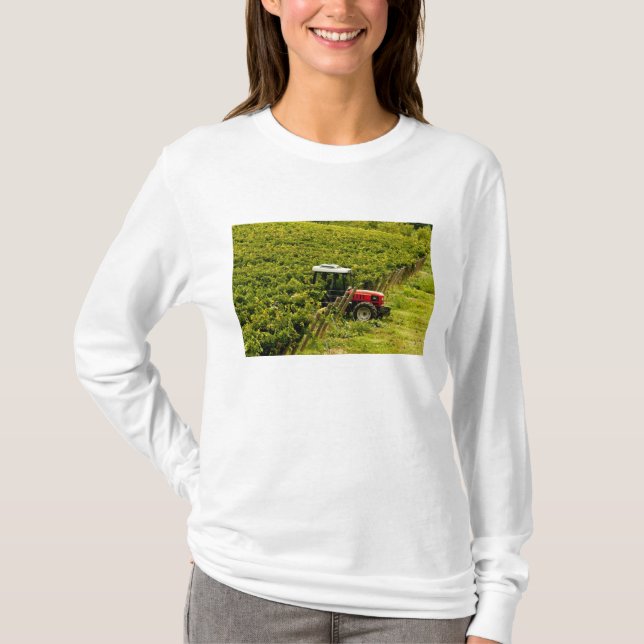 Camiseta Itália, Toscana, Greve. Colhedores trabalhando dur (Frente)