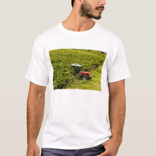 Camiseta Itália, Toscana, Greve. Colhedores trabalhando dur