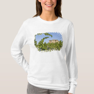 Camiseta Itália, Toscana, Montepulciano. Uvas de vinho pro