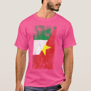 Camiseta Itália Vietnam Flagres - Italiano Vietnamita