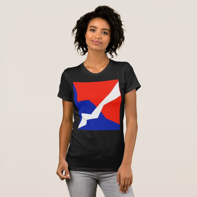 Camiseta Item Branco Vermelho Azul (Frente Completa)