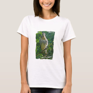 Camiseta Itens de coordenação de Hawk imaturos de cauda v