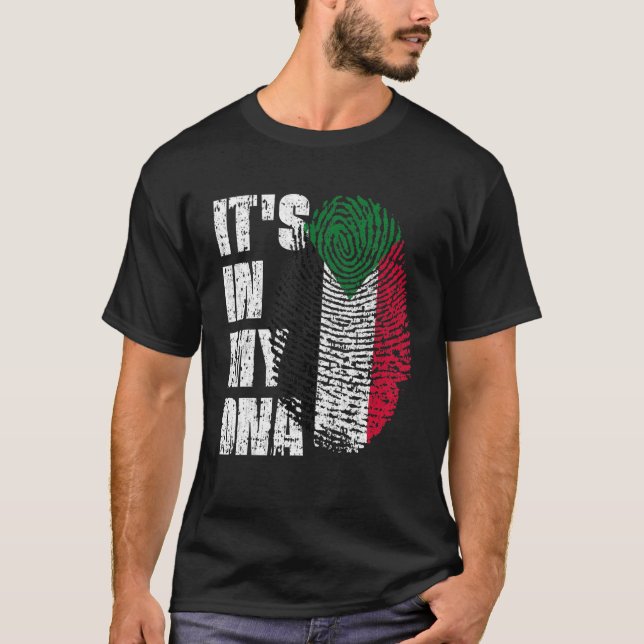 Camiseta IT's IN MY DNA Sudan Flag South Sudanese (Frente)