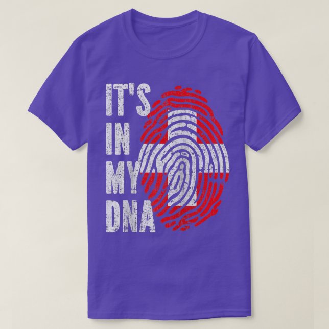 Camiseta ITS NA MINHA Suiça de DNA Bandeira Suíça Raglan Ba (Frente do Design)